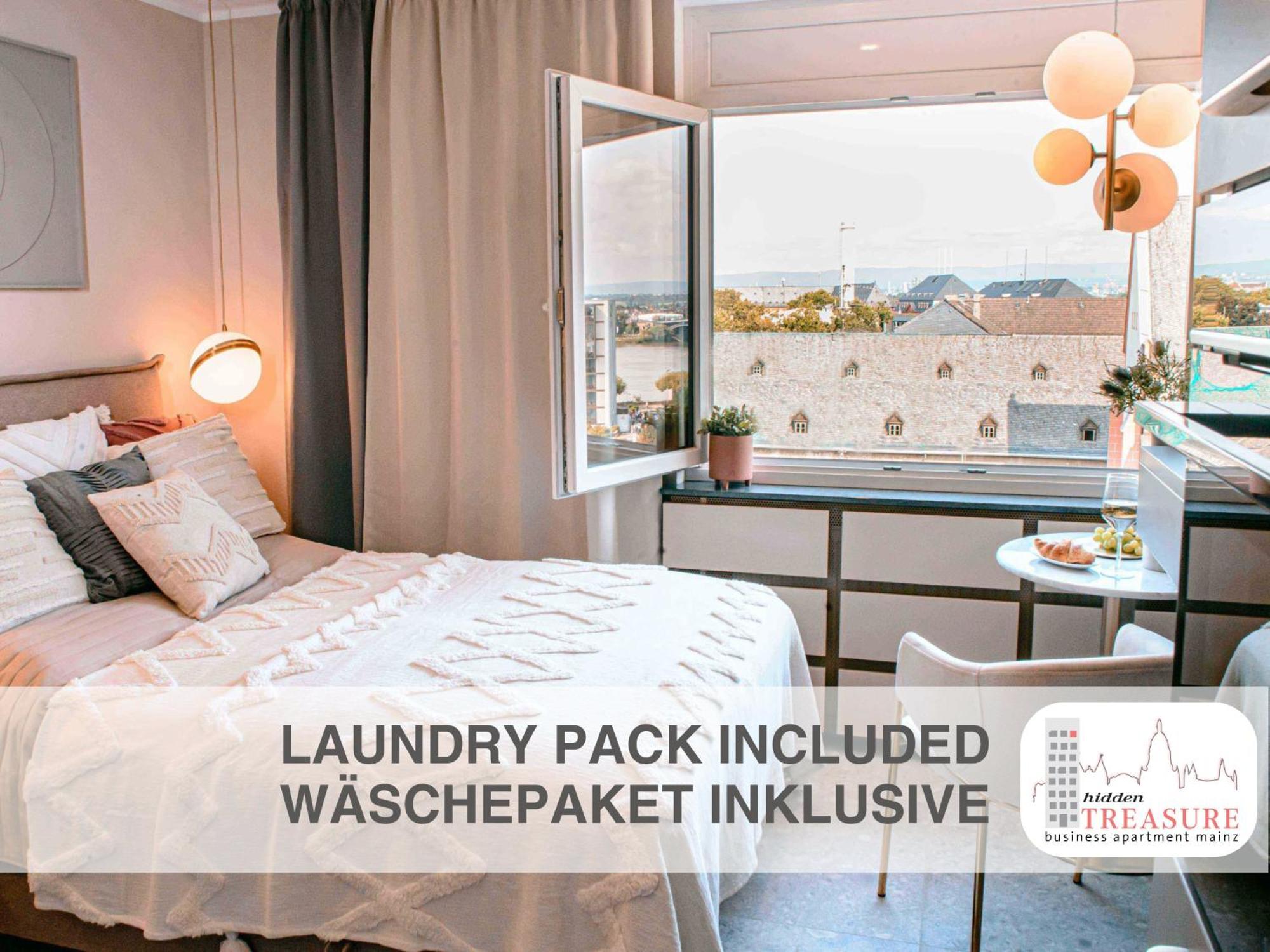 Hidden Treasure Business Apartment Mainz - Fantastic Rhine View In Center Of Mainz Old Town المظهر الخارجي الصورة