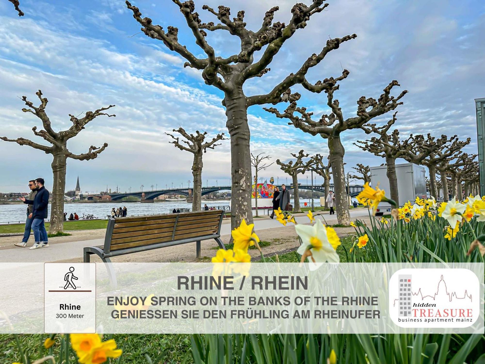 Hidden Treasure Business Apartment Mainz - Fantastic Rhine View In Center Of Mainz Old Town المظهر الخارجي الصورة
