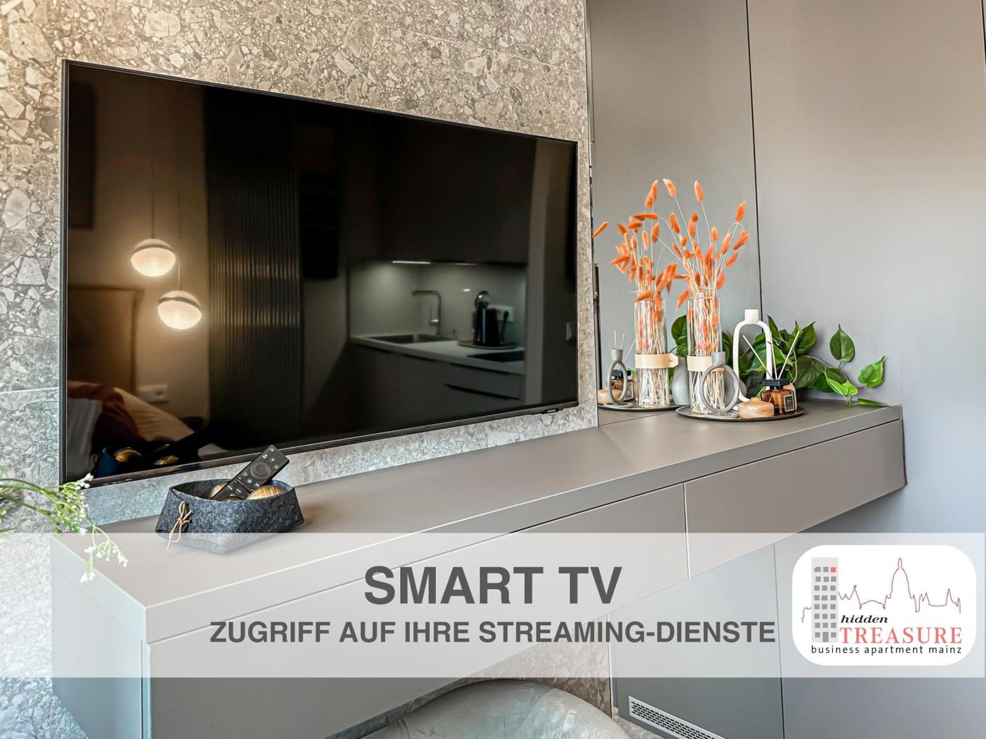 Hidden Treasure Business Apartment Mainz - Fantastic Rhine View In Center Of Mainz Old Town المظهر الخارجي الصورة