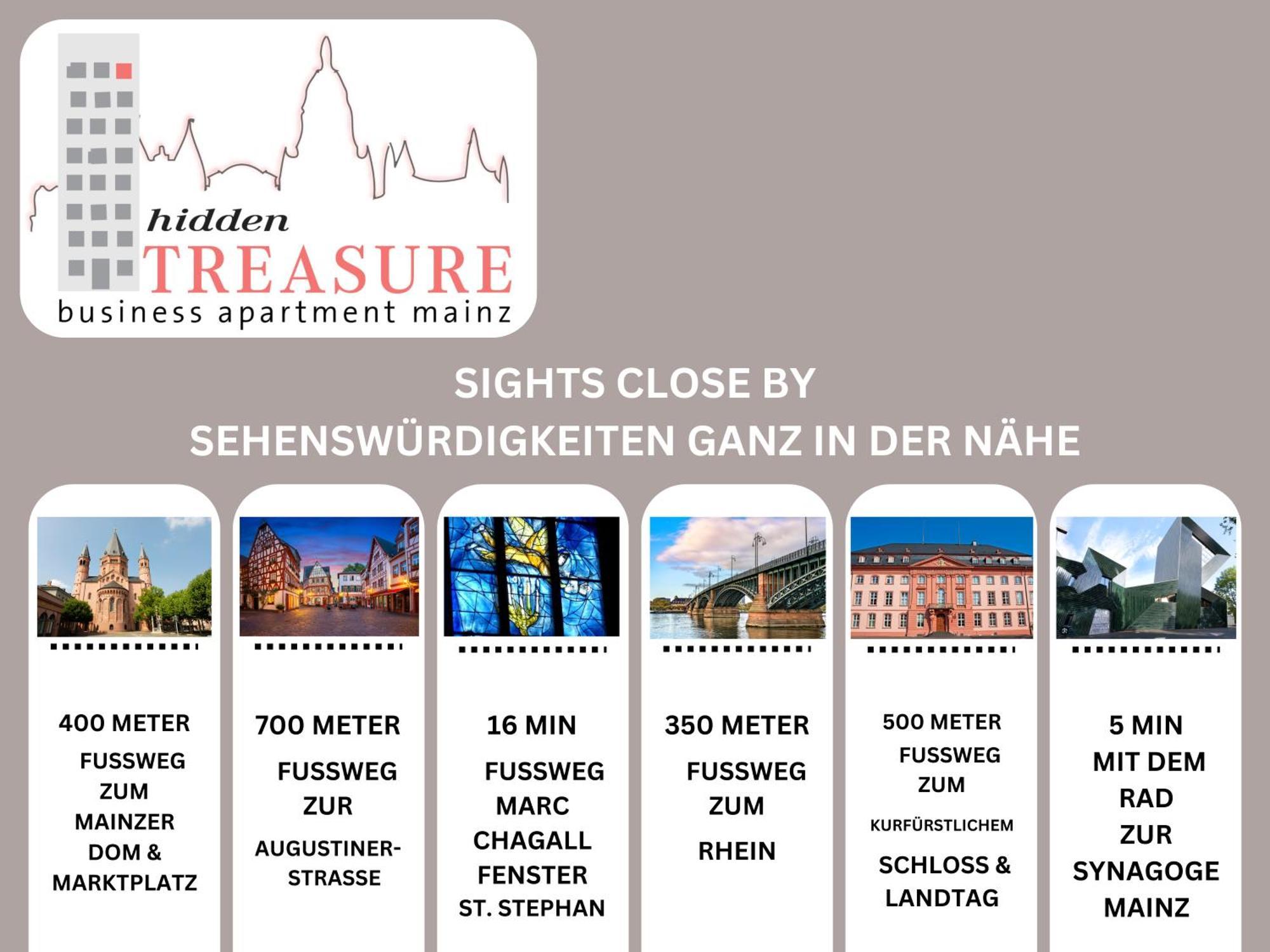 Hidden Treasure Business Apartment Mainz - Fantastic Rhine View In Center Of Mainz Old Town المظهر الخارجي الصورة